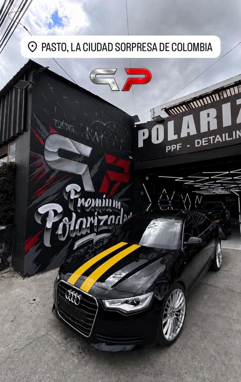 Vehículo de cliente Premium Polarizados